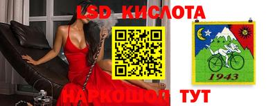 гидра Кингисепп