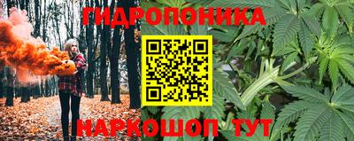 трава Кинель