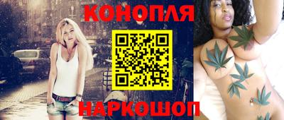 гидра Кингисепп