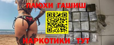 гидра Кингисепп