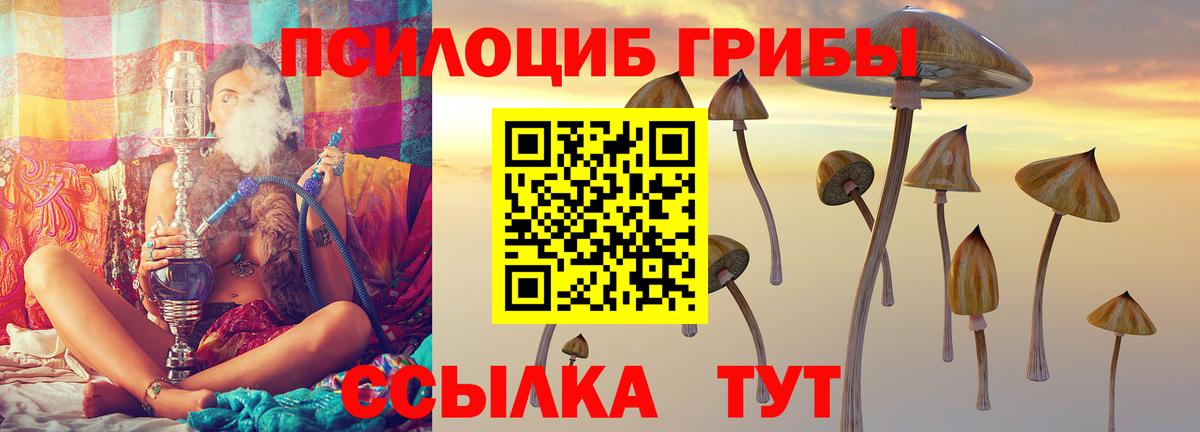 Псилоцибиновые грибы Magic Shrooms Туапсе