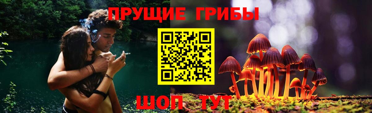 Галлюциногенные грибы Magic Shrooms  купить наркотики сайты  Туапсе  Вход с VPN 